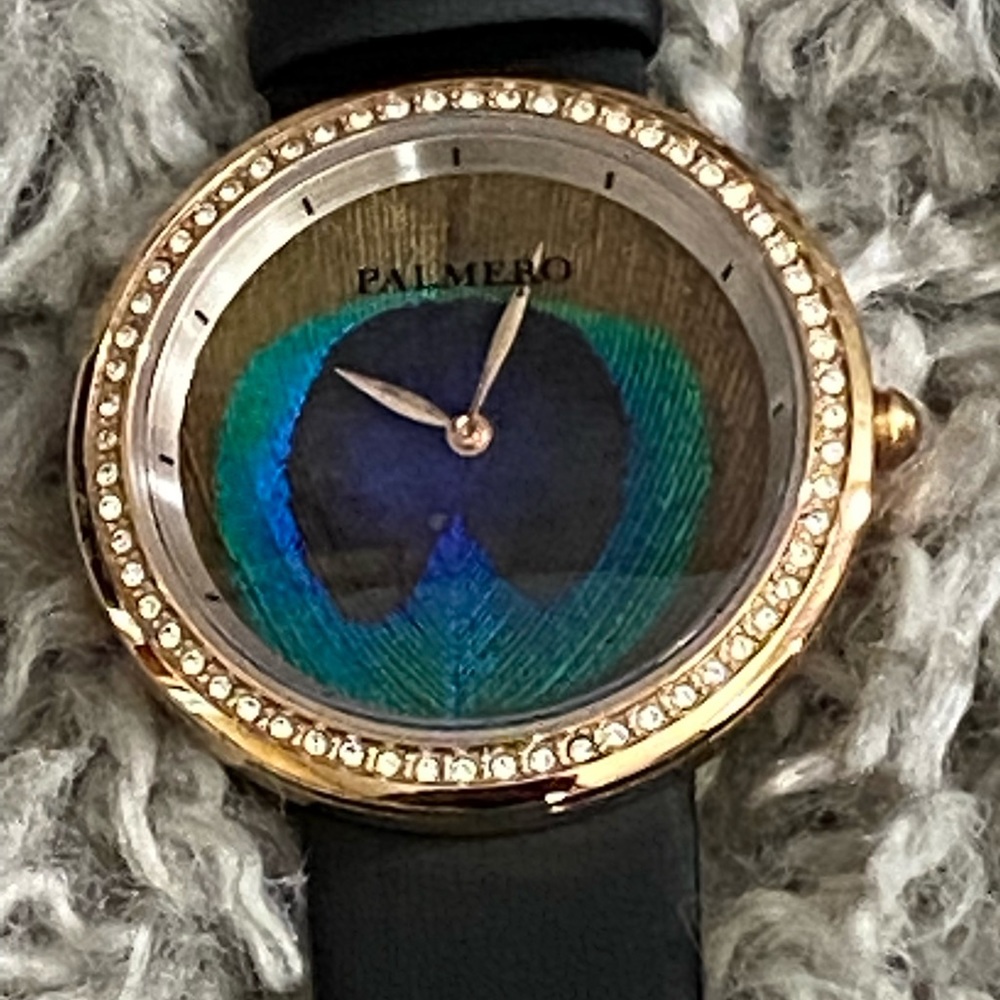 Palmero Ocelli Watch (NWT)